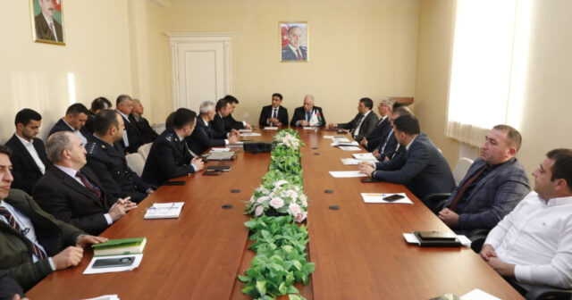 media-17639894833648353223_1200x630