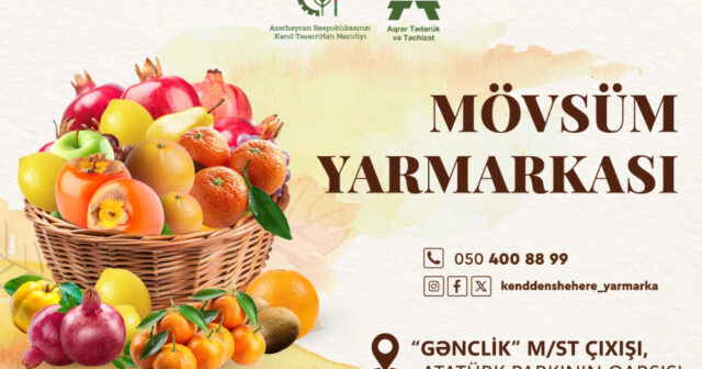 media-1764225569268306147_1200x630