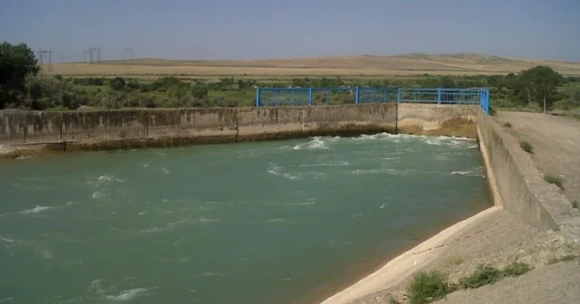 media-1tahheeacsr9hvc8rvfhmym8sgmolbin2wxskcn6_1200