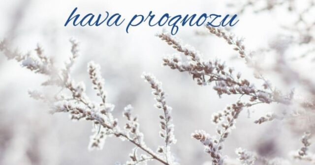 media-20251128163158_32412300