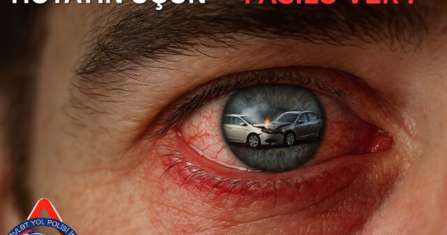 media-36aa9e7a-ed98-41ae-b447-f2ada5e58a08