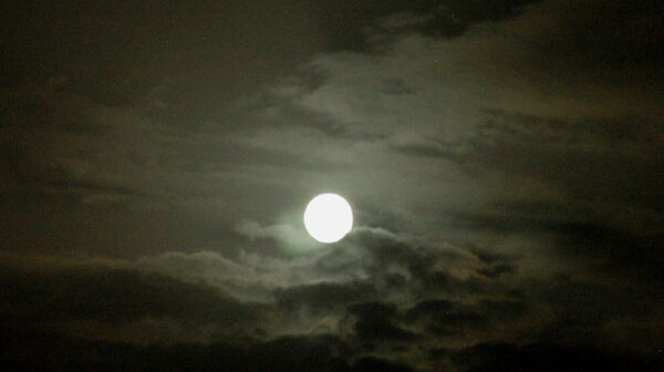 media-48930466-desertsafarifeb05107