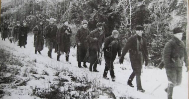 media-4ba2ebe1-bb58-409f-8b2c-9101b14007b9