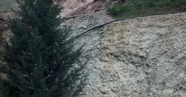 media-5h6jiz0rxu6eyibsxk6gt5ppfjh2mnyejc26dqyf_825