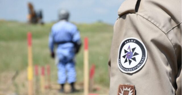 media-687fe34a162825037944203623610204898