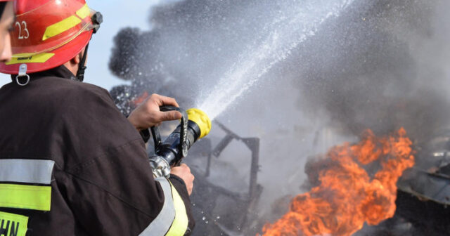 media-6899688f43cc16899688f43cc217548842396899688f43cbf6899688f43cc0