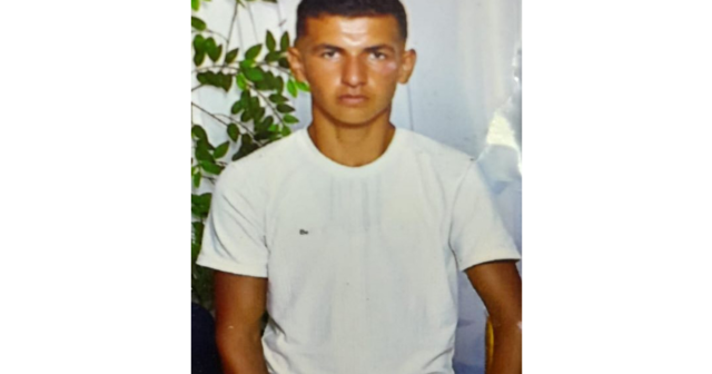 media-690f440549bbf690f440549bc01762608133690f440549bbd690f440549bbe