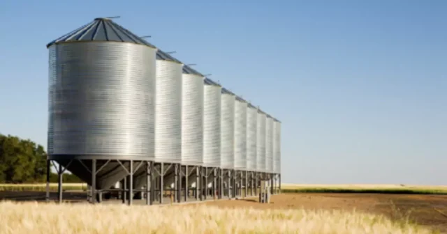 media-691e973483d9a357415227-png