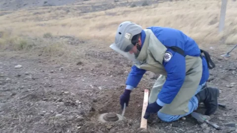 media-70f97598ef42d5a