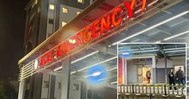 media-7387d4e2-adi8j5cbjdez79vukfuyf