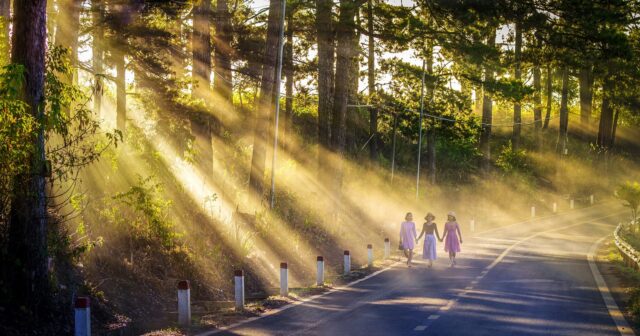 media-756595aad82c4a86b83db28d8133f4d3