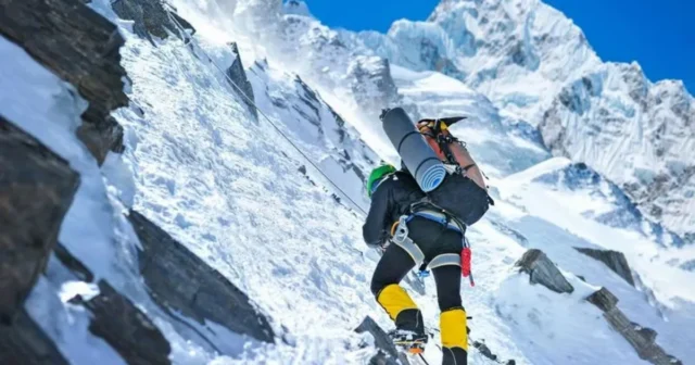 media-aveor8mszy408ef6c2baefu076ns2s5piztidlia_1200