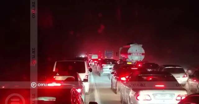 media-n68tz8k6ntnq4tvqcqjdnjsozpityuytpgx0axiu_1200