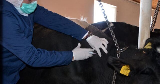 media-u2apgjucseksougutf2slhxobgmvbl51ydm51qck