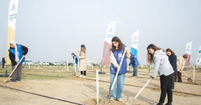 media-xh2yrnksm9whqbwrc8cthi6foc5re33bshtsdpzd_825