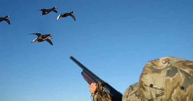 media-zjch9spk7pgrypneca3guoselvlvpvdxrzjprkiq_1200