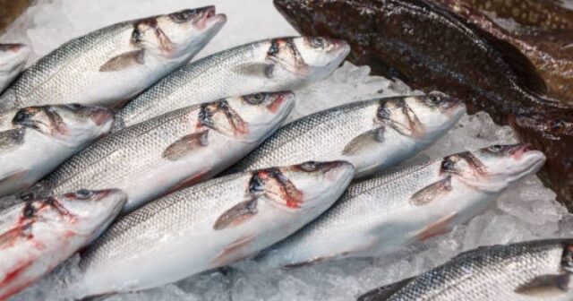 media-baliq-1459337861-612x612