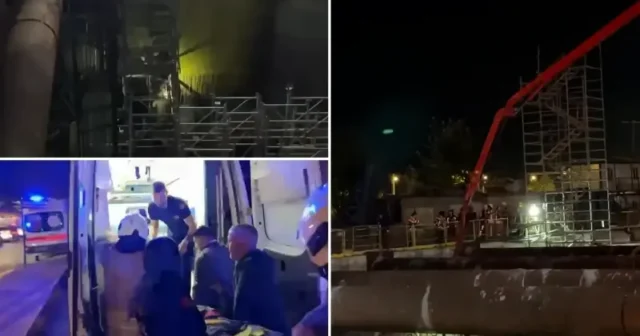 media-c39937d2-3jo2rgjy68s0m6s5lc8jrgq