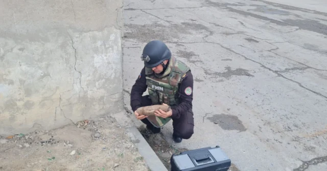 media-cc9ampv4kfsxhhh5gqr5vgptdjup2nihmv98otfd_825