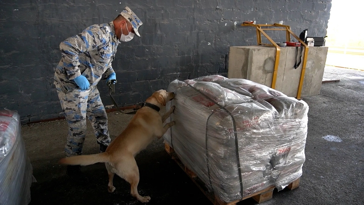 media-crpqzbowptd03eiek1adpchs7tvjp3jahjcd0jyp_1200