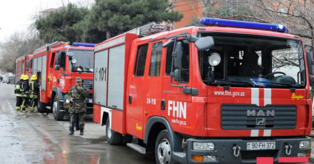 media-fhn_yanginsonduren_1759044717