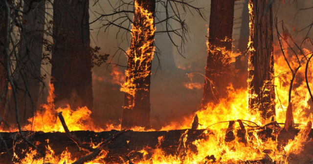 media-h6jf46_1762967368