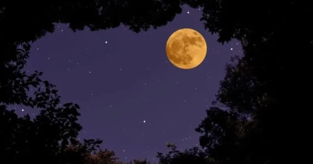 media-iki-super-ay-hadisesi-musahide-olunacaq-1761382958