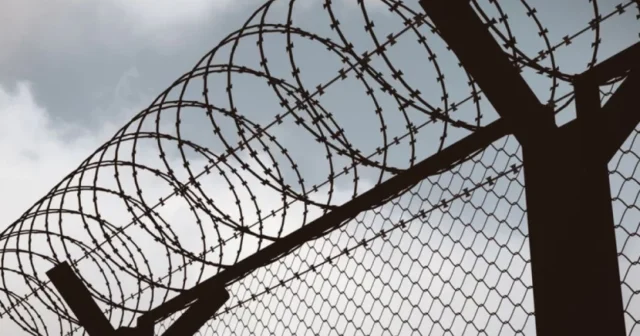 media-image_940x_6797323426c4d