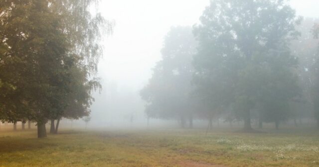 media-media-ciskin-m2fh8p