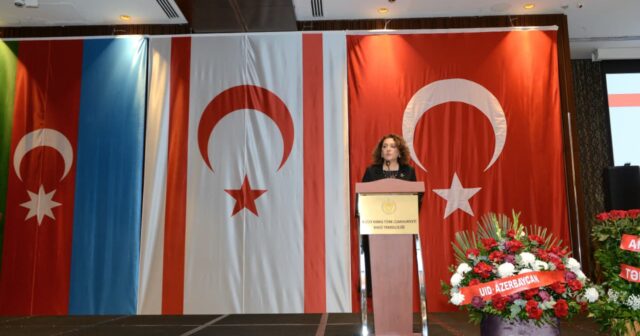 media-simali_kipr_tedbir_131125_1