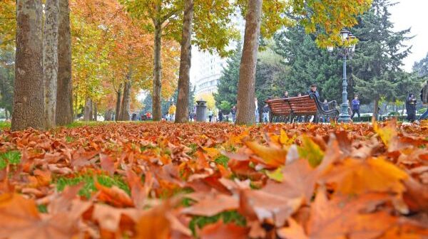 media-trend_qizil_payiz_221122_20