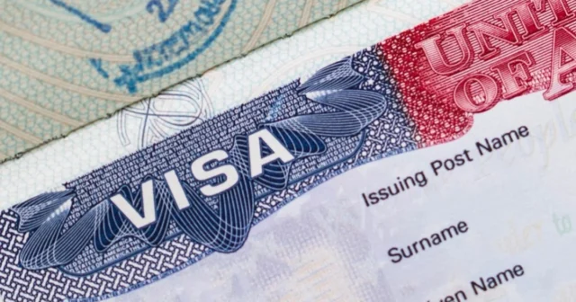 media-visa_1200