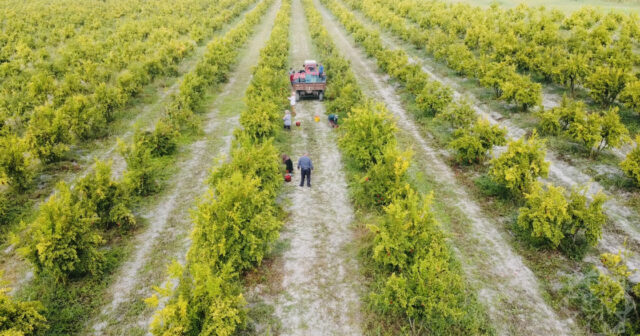 media-w_1617619904241299547189_1200x630