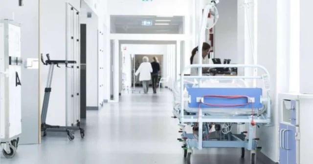 media-05ackzqj6uoxmqvbvbrlomevgc7v4z7bgi1iba8a_1200