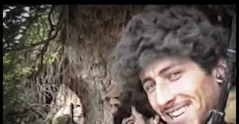 media-10368916052370594660