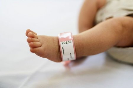 media-1662539943_korpe44