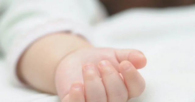 media-1727876241-ompnzcuivz9scituhgql8nue0yzlmutfwtbpq1su_1200