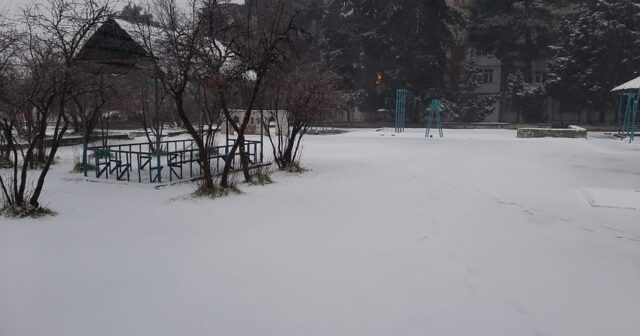 media-1740147957_23081d7e-354a-32fd-bc79-9c1ee678beeb_850