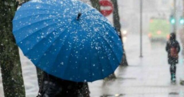 media-1760533316-2183890