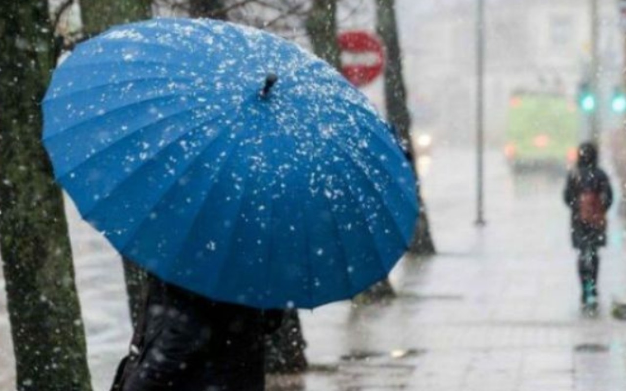 media-1760533316-2183890