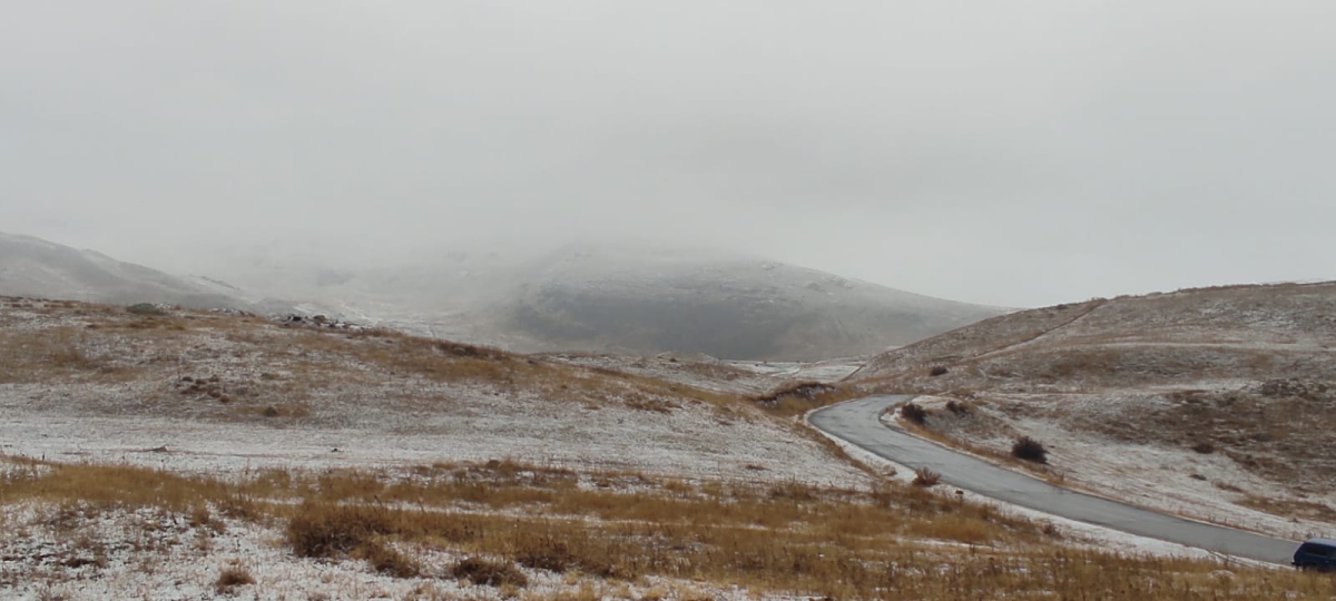 media-1765097287273245166_1200x630