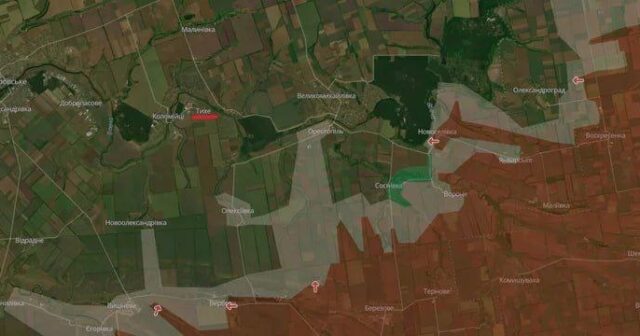 media-1765098673_6ab464f78774f0354855a1f6d88c781a