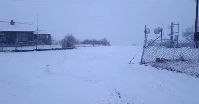 media-1765387758_img-20251210-wa0063