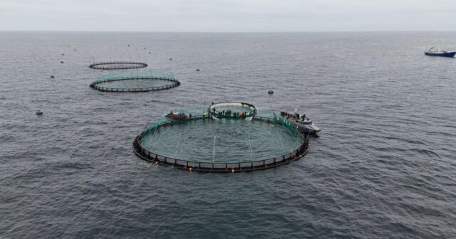 media-17656144433442343762_1200x630