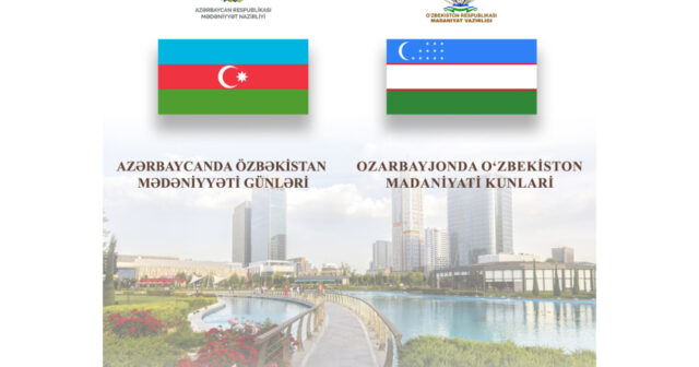 media-17656942144906032453_1200x630