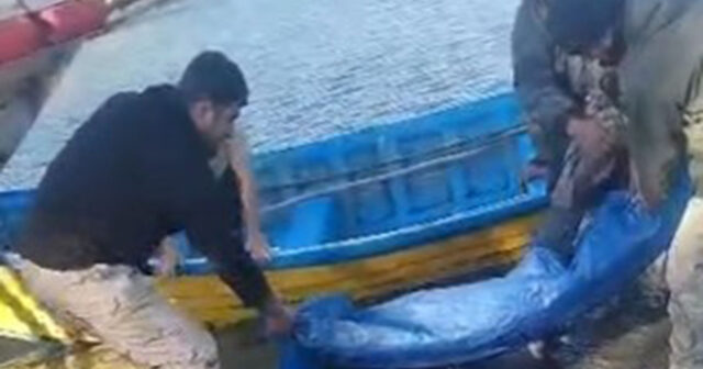 media-1766165666_whatsapp_image_2025-12-19_at_21-20-16