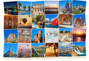 media-17663156252577254127_1200x630