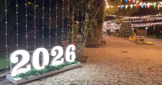 media-17664241314416035684_1200x630