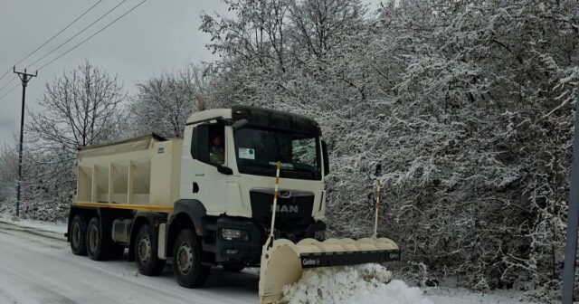 media-1766916838_69510203cc3ed69510203cc3ee176691661169510203cc3eb69510203cc3ec