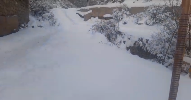 media-17669324192426149733_1200x630